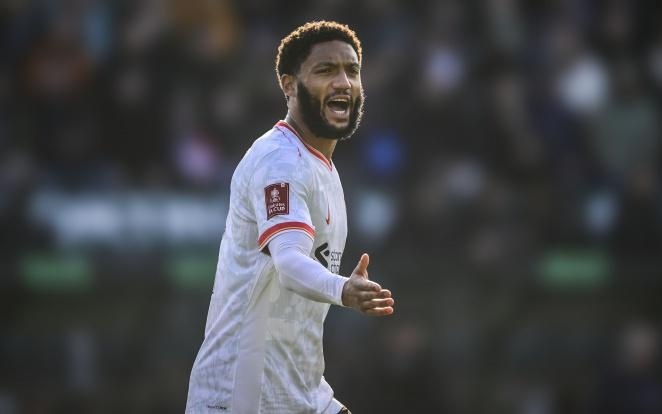 也成为他坚 也成为他坚