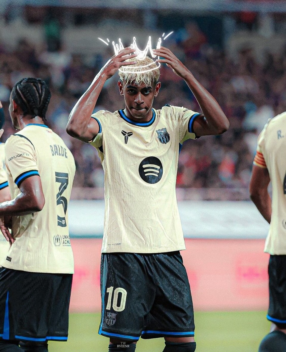 动会回撤你 动会回撤你